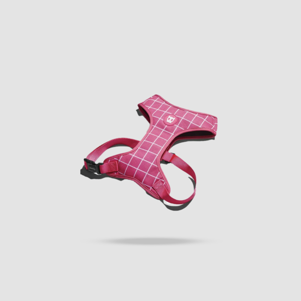 Pink Dog  Harness